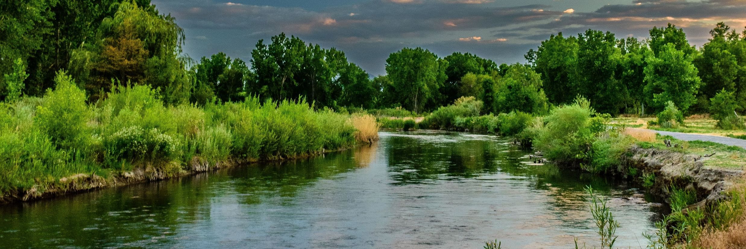 The Birchwood Retreat - view of a river