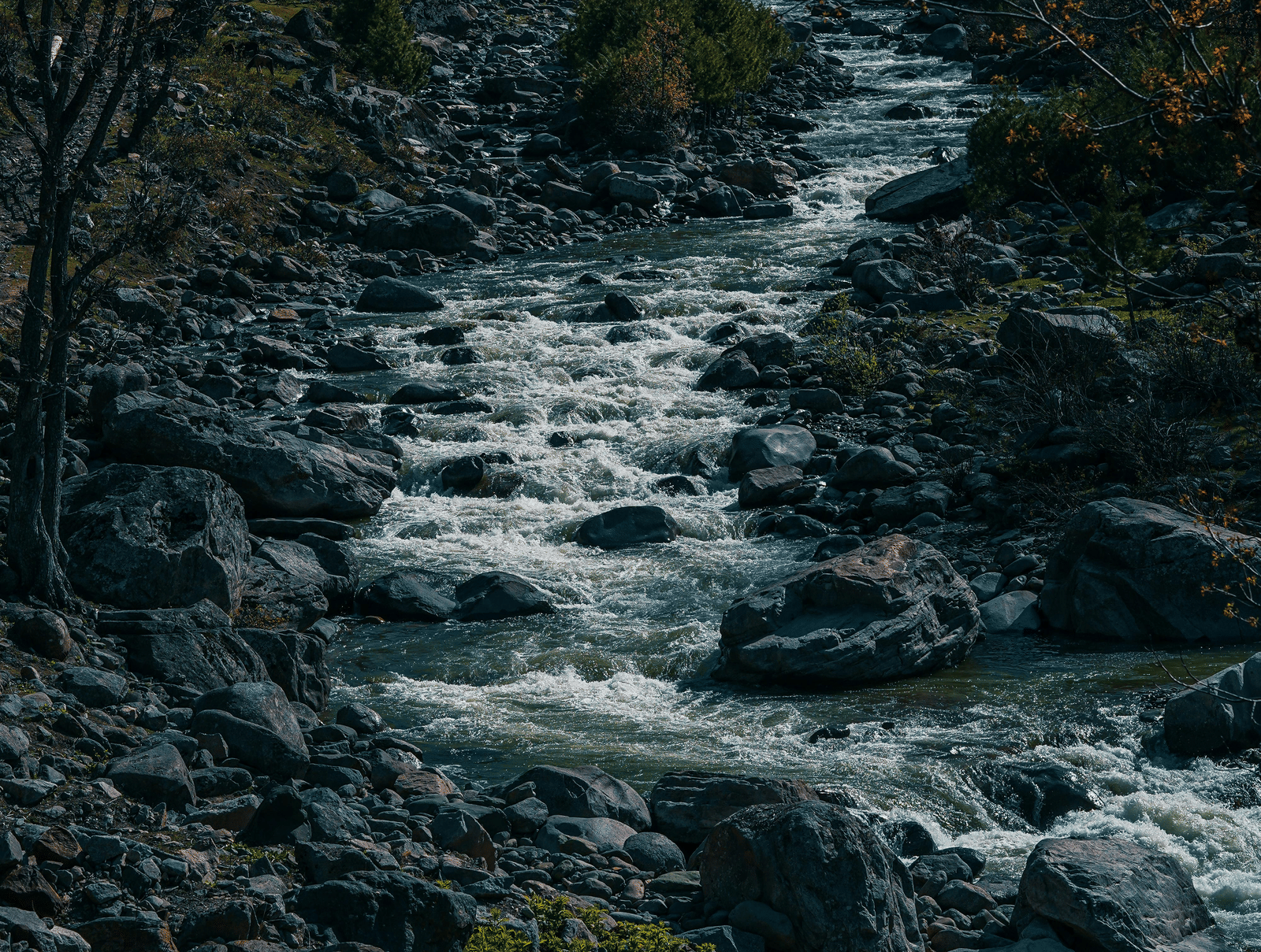 pexels-qaarif-7905586