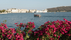 Lake Pichola framed by vibrant bougainvillea with a boat sailing across.