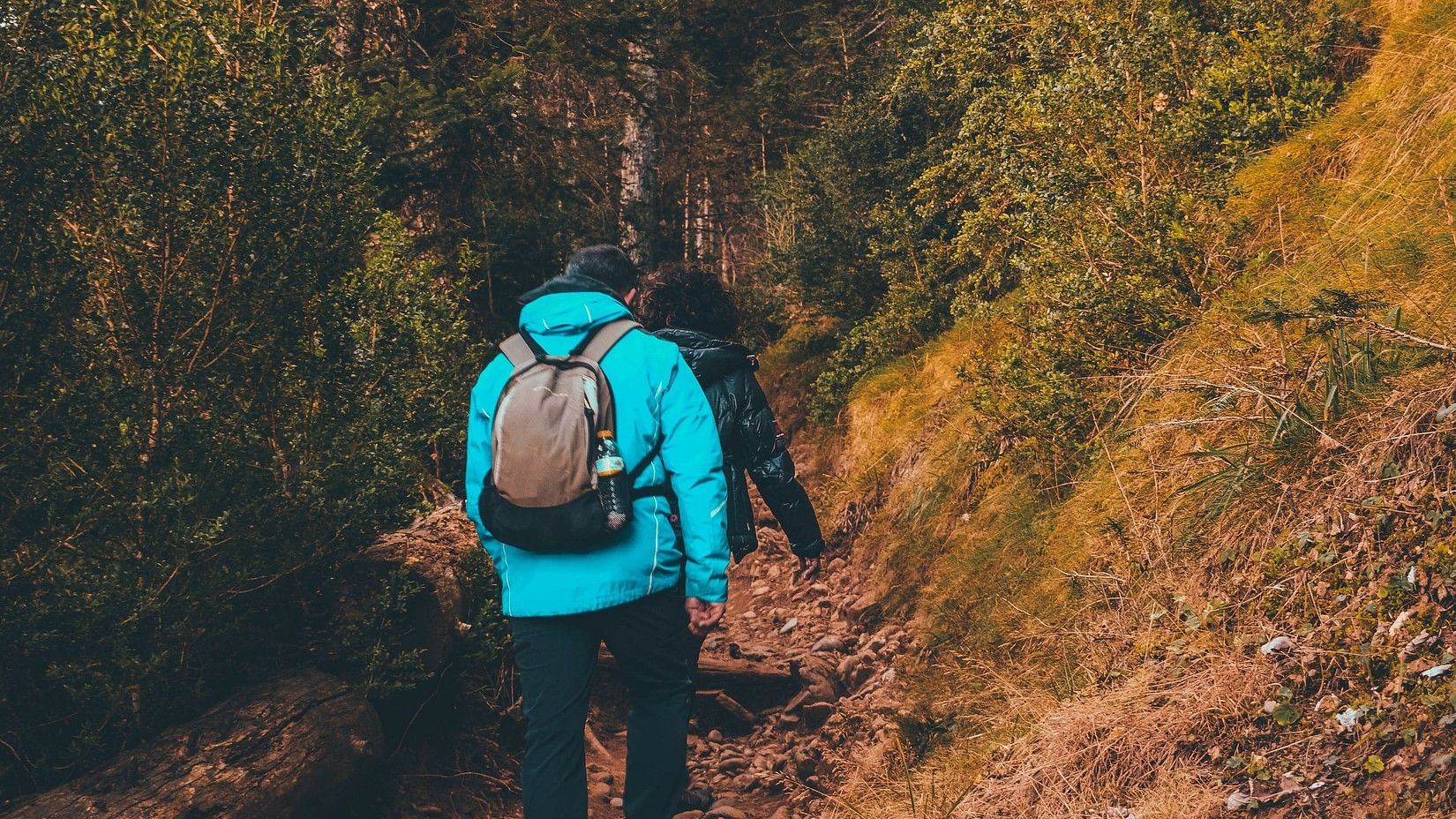An image of a man and a woman climbing up the hill which leads to a bird watching  sanctuary