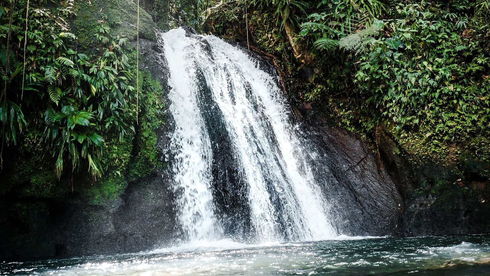 Bear Shola Falls