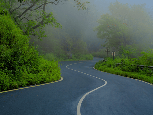 A fog covered hubali-goa highway with thick green trees and canopies on both sides.