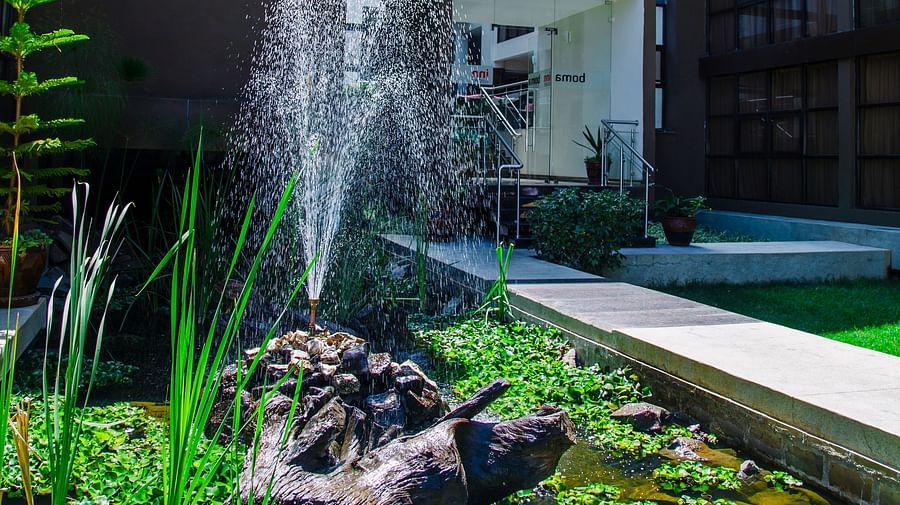 Garden at Boma Inn Eldoret 