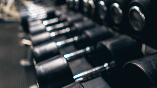 a close up shot of dumbbells in a dumbbell rack inside a in a fitness centre