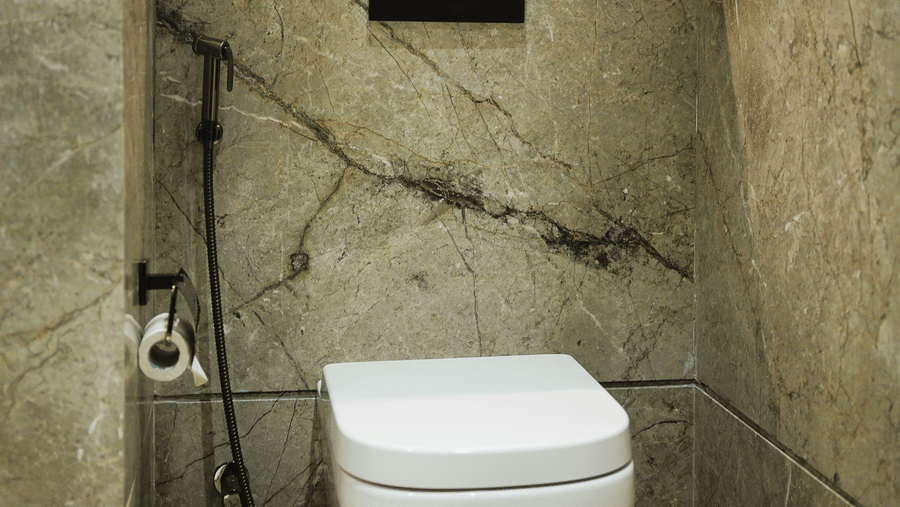 Infiniti Hotel, Indore | A washroom with a toilet seat, a plant, and a shooter.