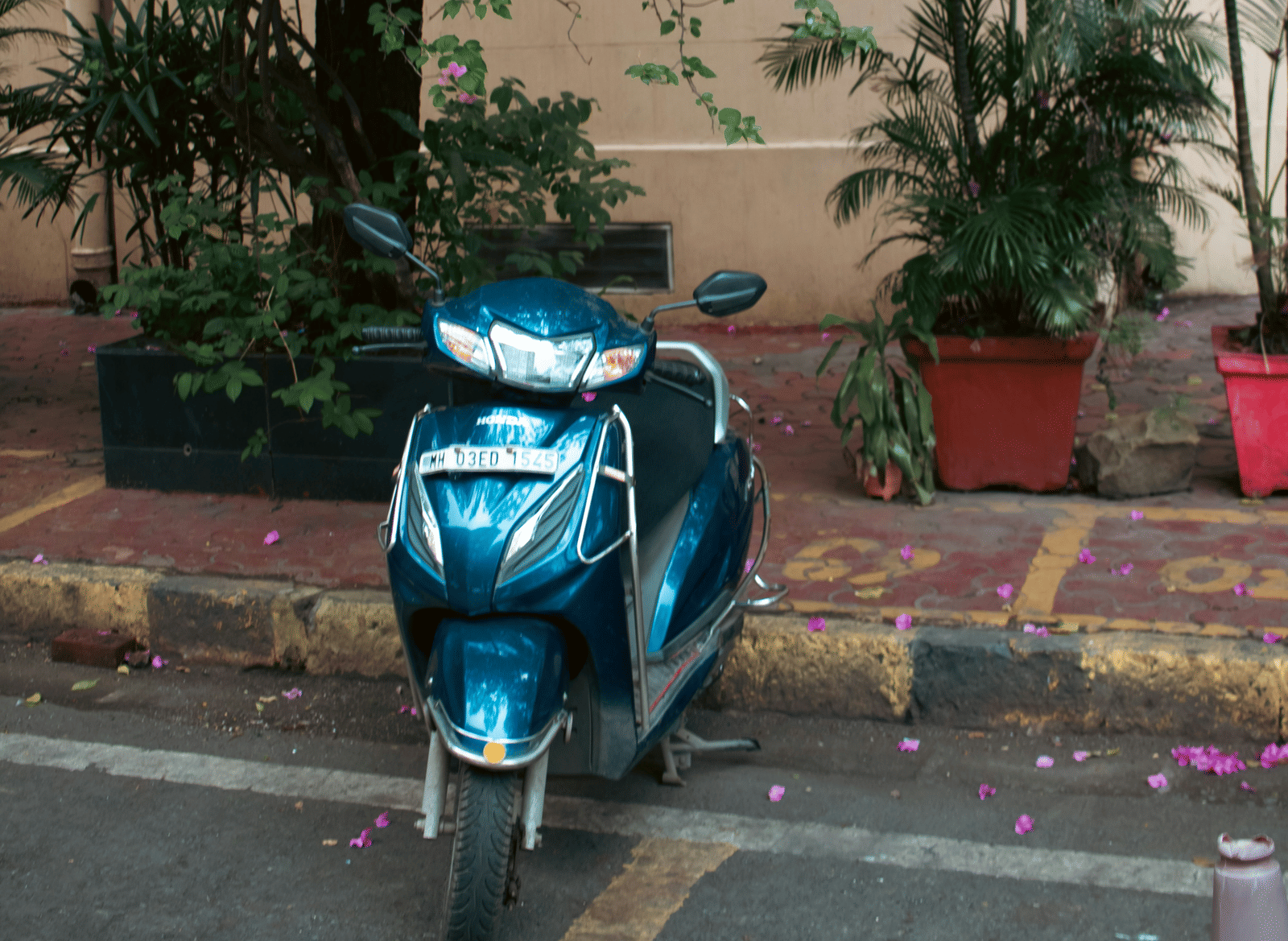 A blue scooter parked beside a flowering bougainvillea tree.