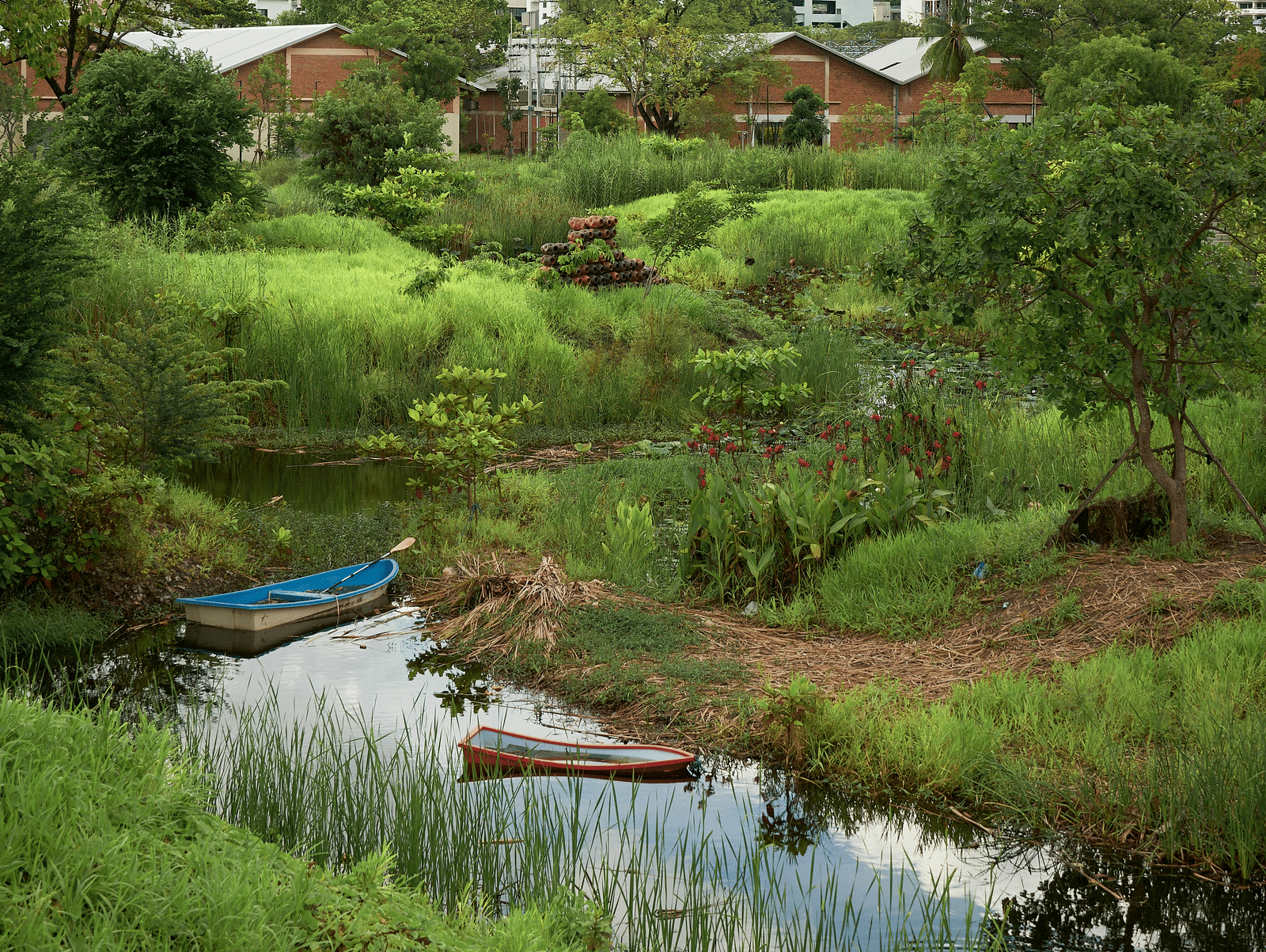 An overview of Benjakitti Park with vegetation amidst a small river