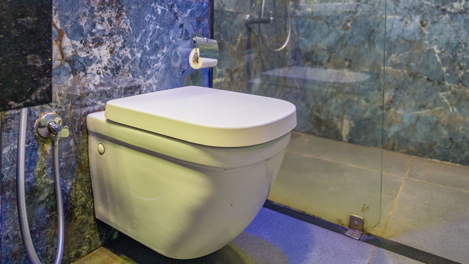 Image of a washroom with a toilet and shower area at Hotel Altitude, Madikeri.