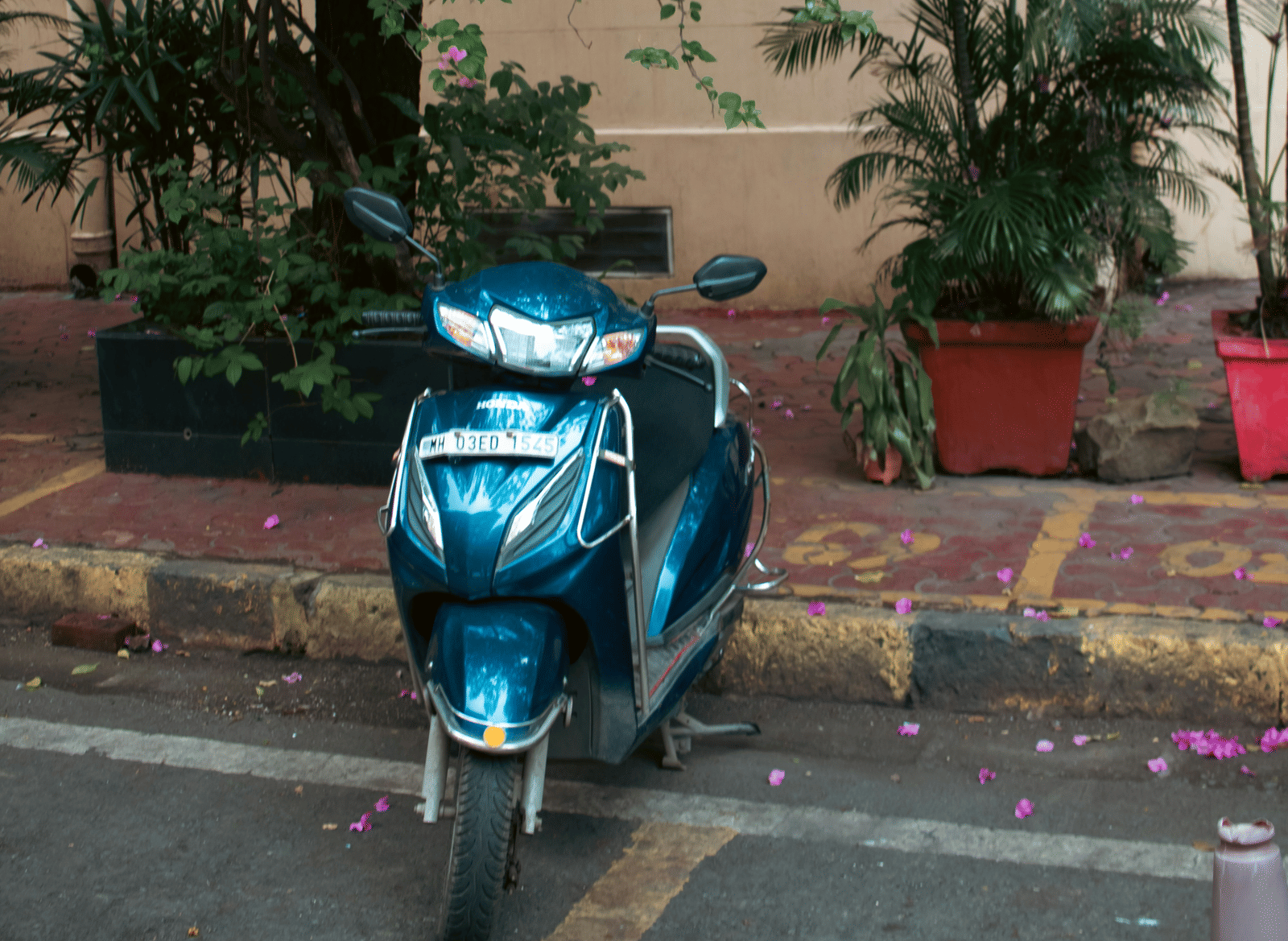 A blue scooter parked beside a flowering bougainvillea tree.