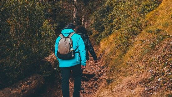 An image of a man and a woman climbing up the hill which leads to a bird watching  sanctuary