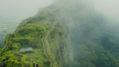 A lush green mountain, enveloped in fog.