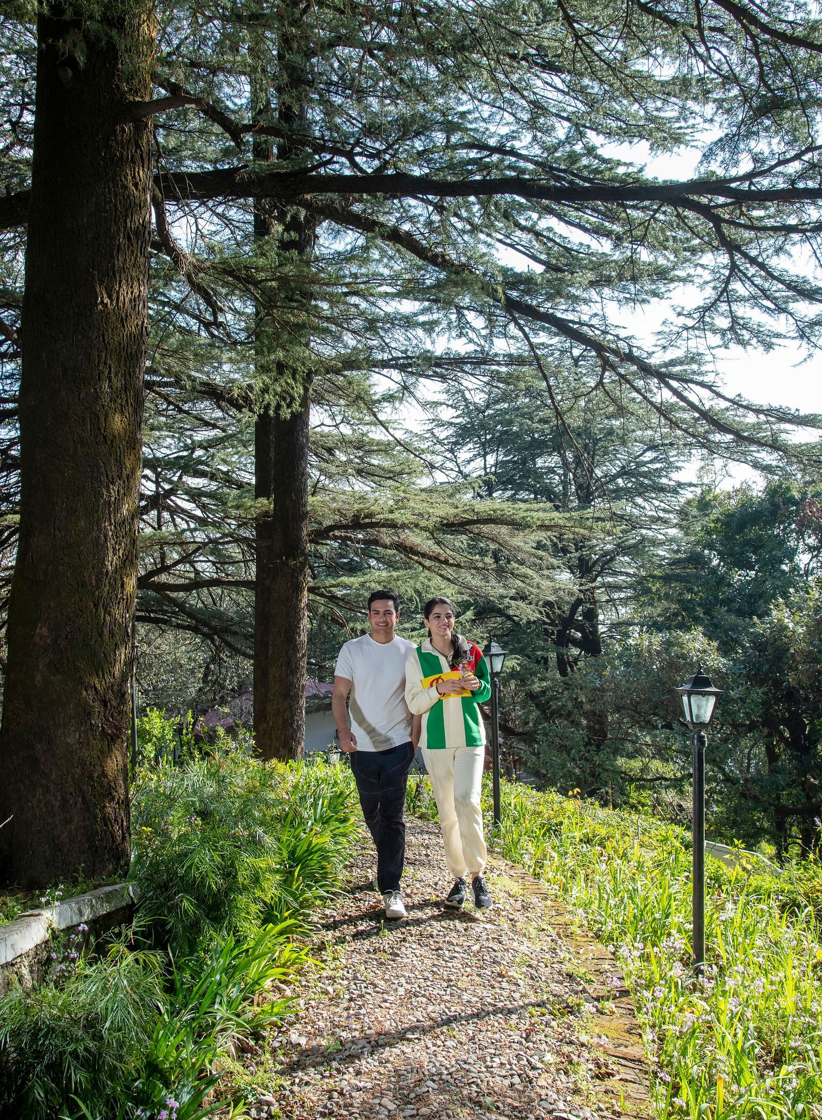 a couple walking through a green garden with huge trees