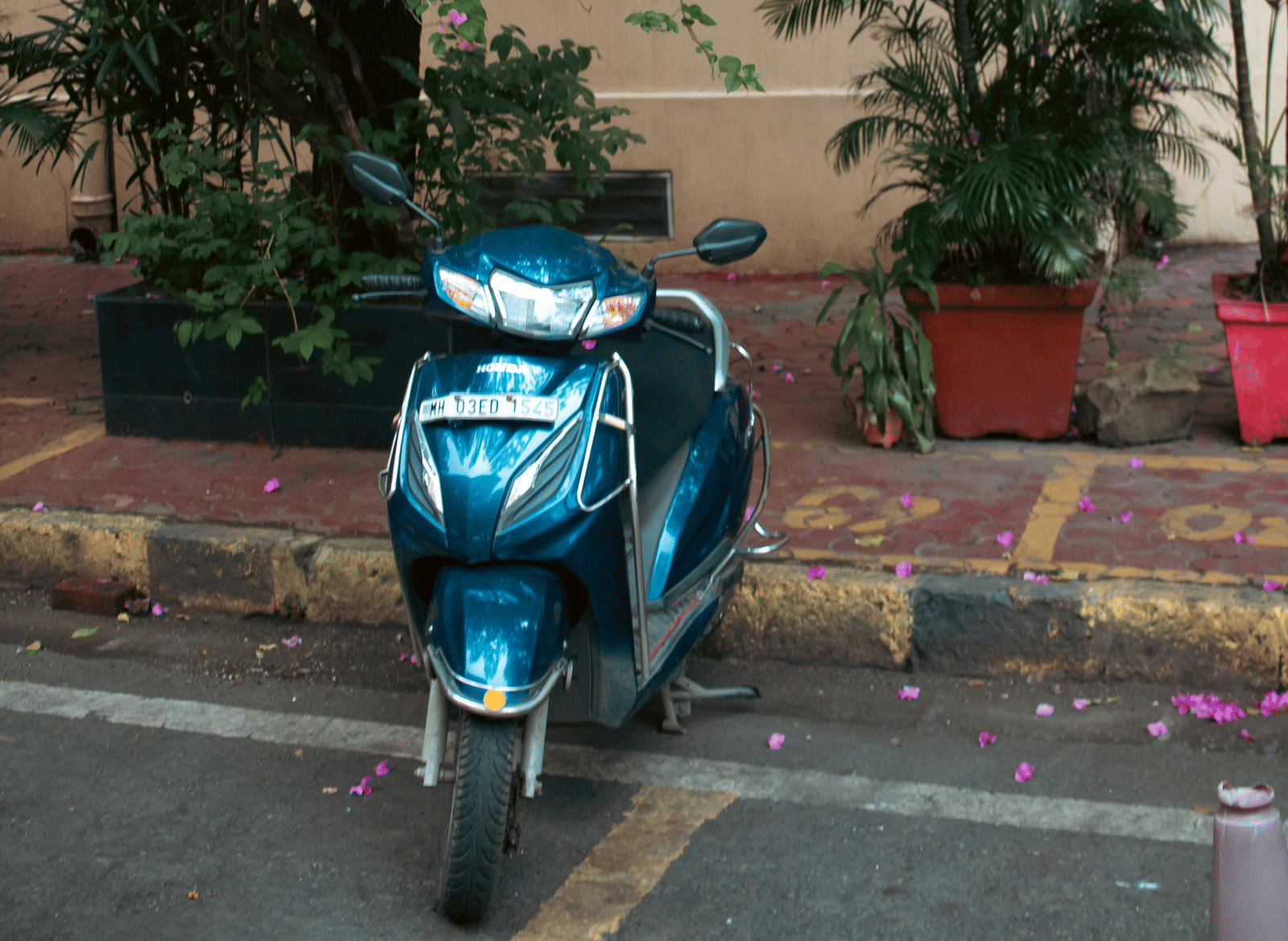 A blue scooter parked beside a flowering bougainvillea tree.