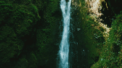 A tall, narrow waterfall cascades through dense greenery into a rocky pool hidden within a tropical forest.