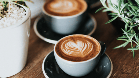 Close-up of 3 coffee cups with heart-shaped latte art resting on dark saucers, surrounded by an assortment of potted green plants on a rustic wooden table.