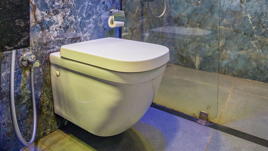 Image of a washroom with a toilet and shower area at Hotel Altitude, Madikeri.