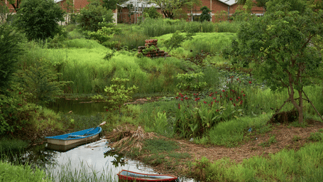 An overview of Benjakitti Park with vegetation amidst a small river and sky rises in the background.
