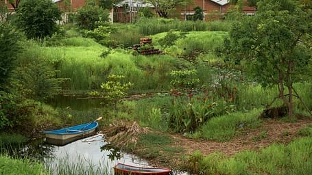 An overview of Benjakitti Park with vegetation amidst a small river
