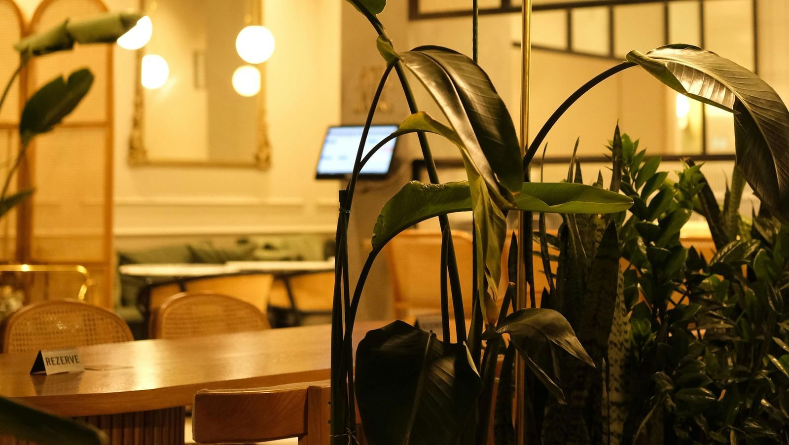 A restaurant seating area with warm lighting, plants for decor and hospitable ambience