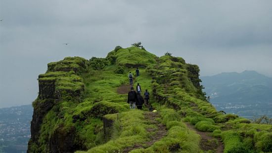 a group of people walking to the edge of a green cliff