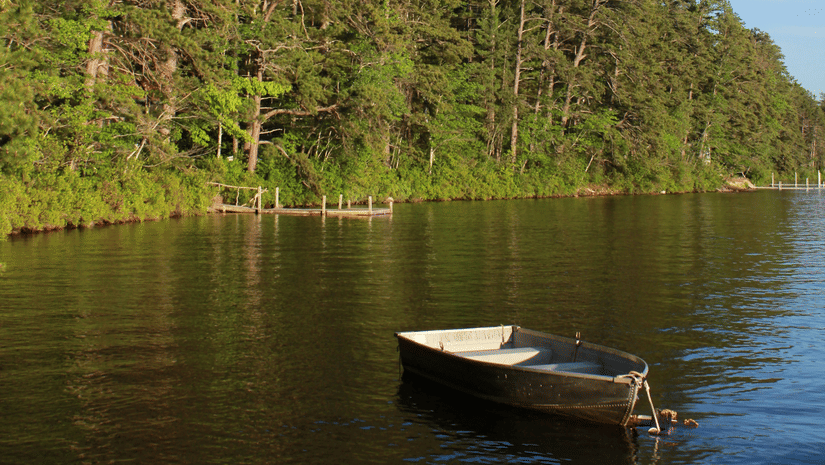 A view of a rowboat on a waterbody with a forest cover and blue sky in the background.