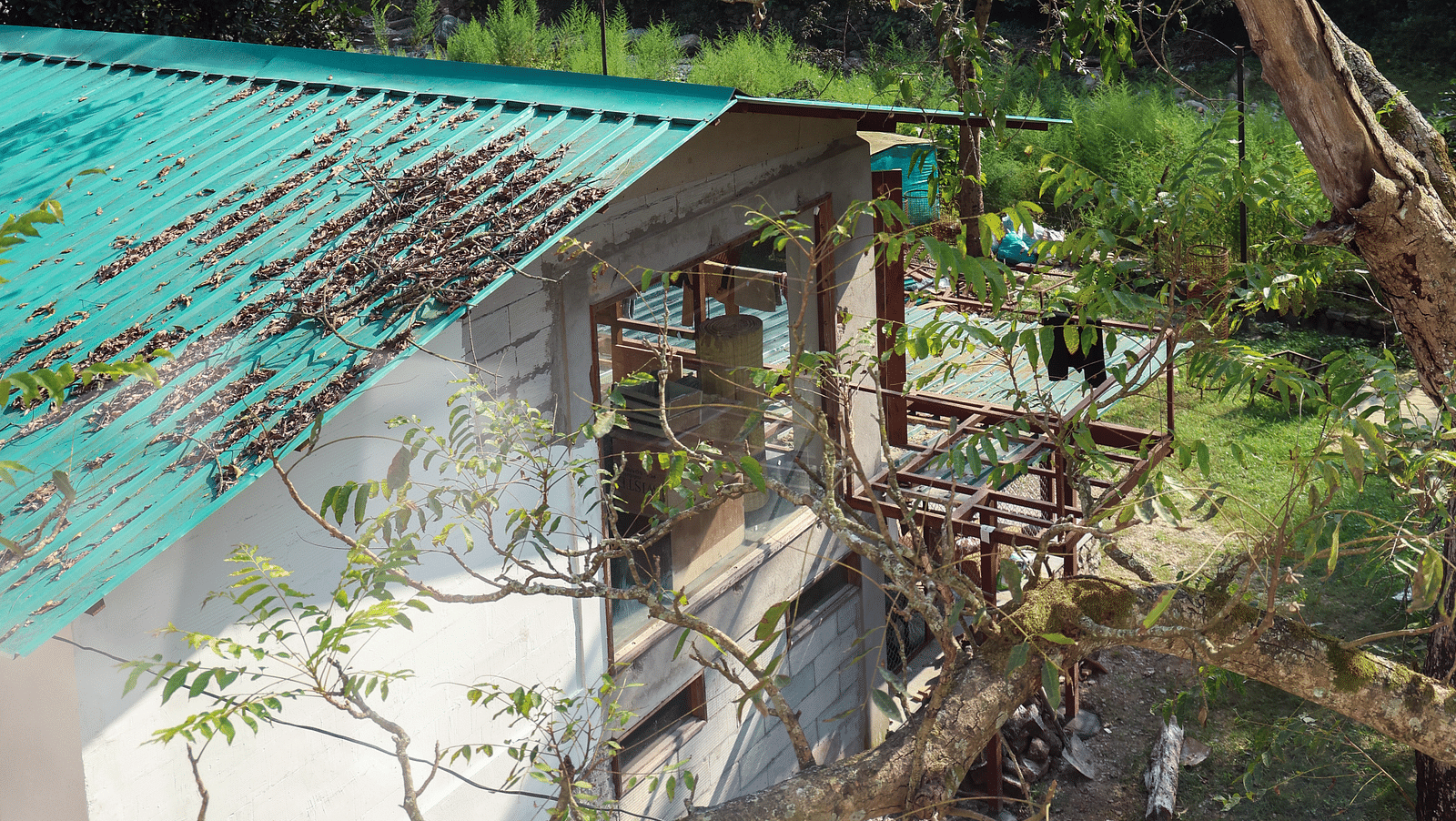 Facade view of the accommodations at The Sylvan Retreat, Dehradun. 
