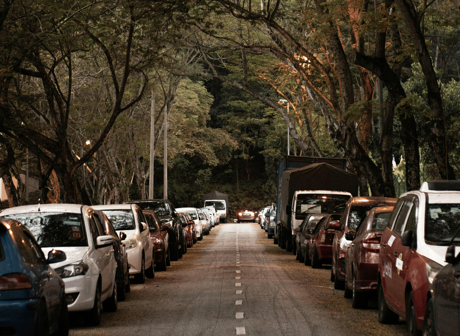 A tree-lined street with parked cars in the shade.