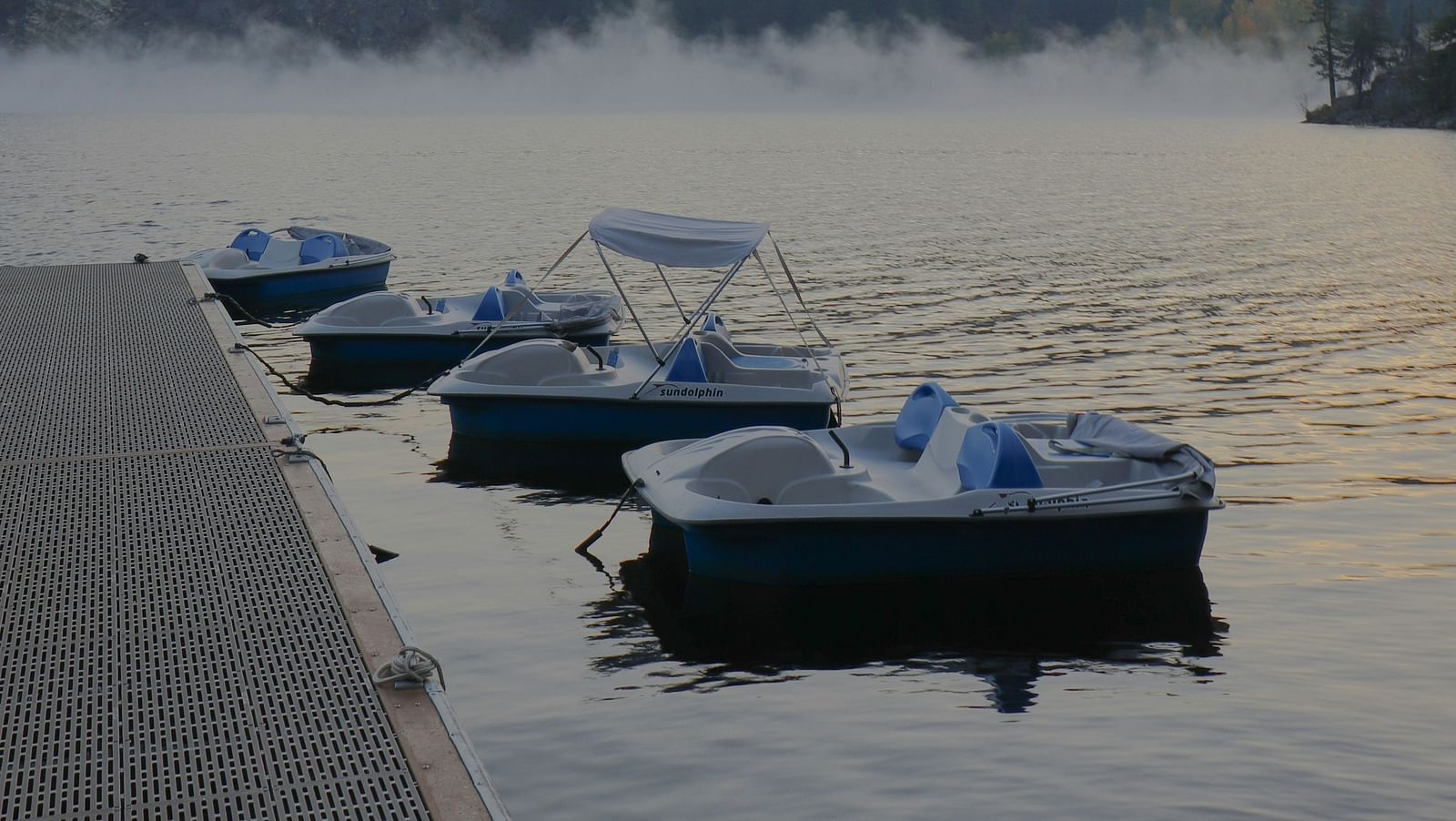 Paddle boats parked next to a walkway with forest cover in the background.