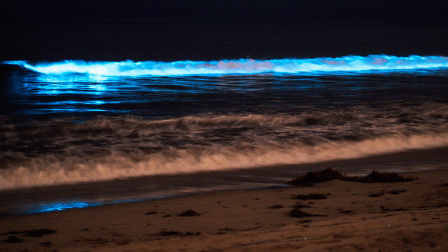 Blue waves of a beach reaching the shore with a dark sky in the background.