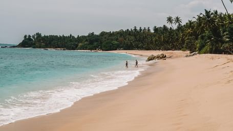 Quiet tropical beach with gentle waves, distant figures walking along shore, and palm trees lining the sandy coastline.