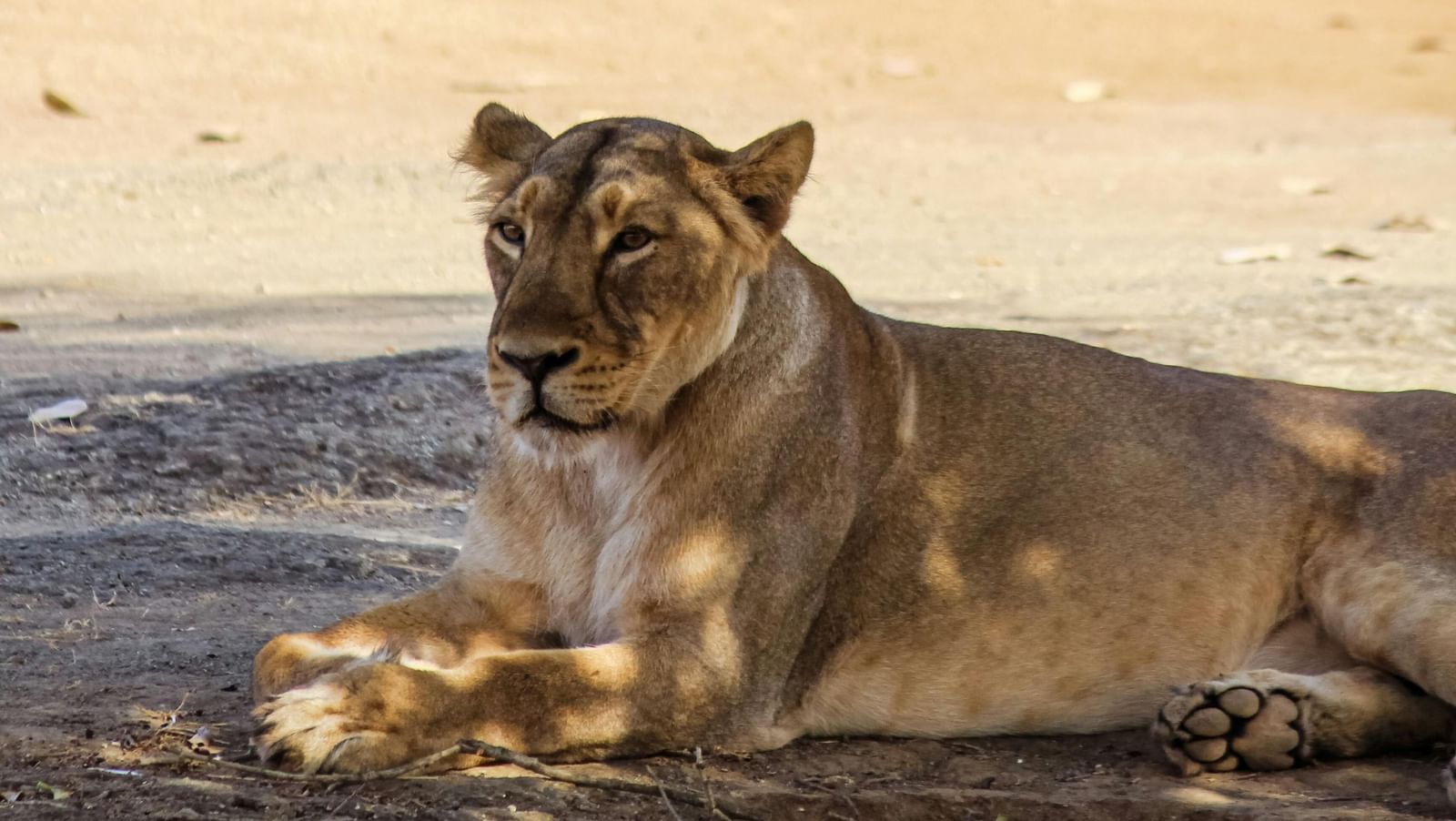 pexels-digvijay180-5357892