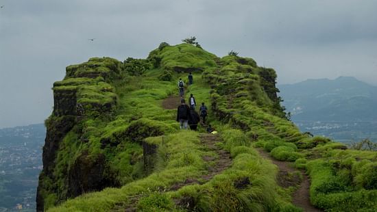 a group of people walking to the edge of a green cliff