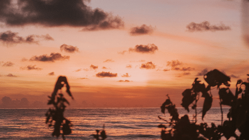 Havelock Packages in Andaman and Nicobar Islands