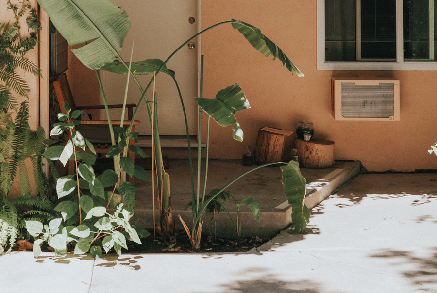 Sunlit terrace corner with tropical plants and wooden stools