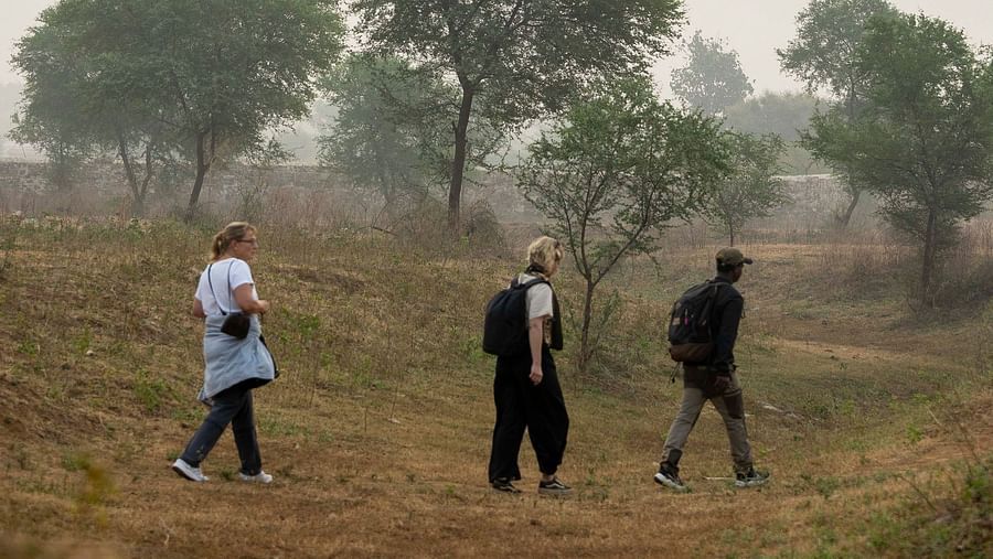 An image of three people walking through an arid land with few trees in the background - An image of two women with a tourist guide - Utsav Camp Sariska
