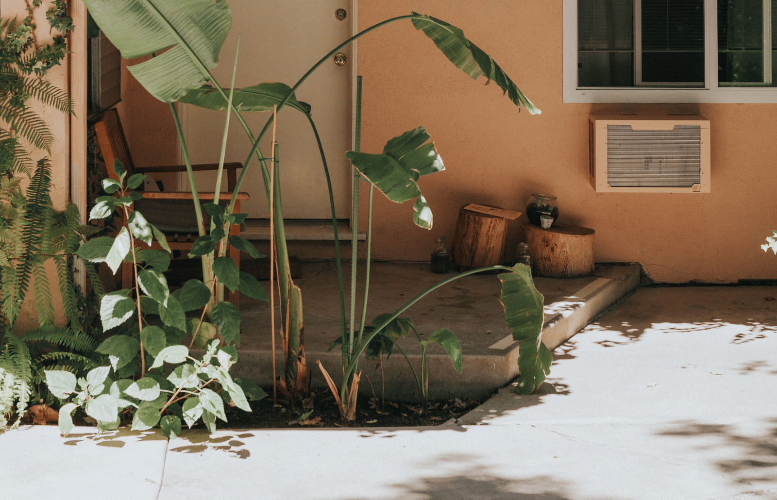 mark-adriane-CWMApX0wjPs-unsplash