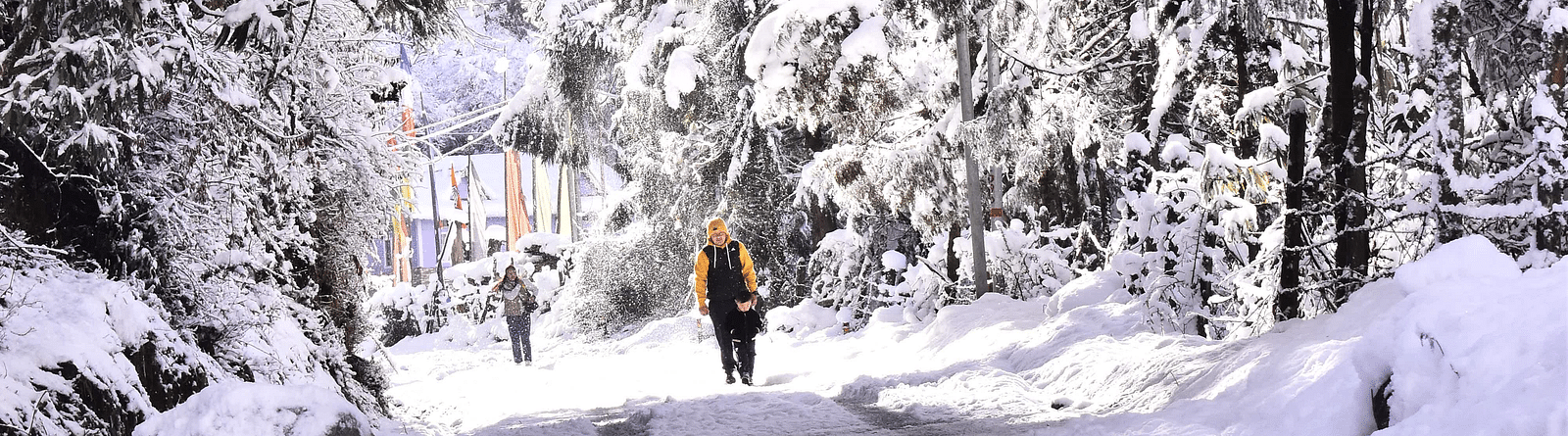 people walking along a snow-covered trail