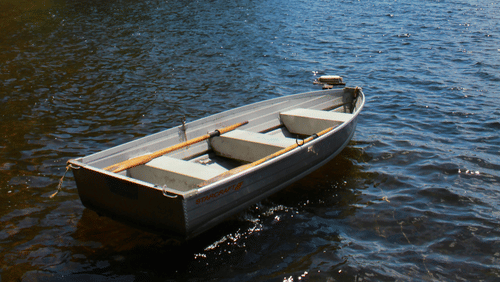 A small rowing boat floats on a calm lake near a shoreline with tall pine trees.