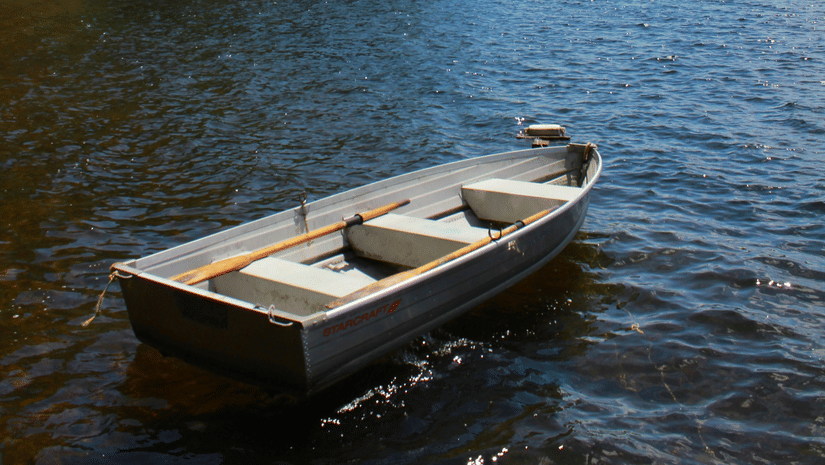 A small rowing boat floats on a calm lake near a shoreline with tall pine trees.