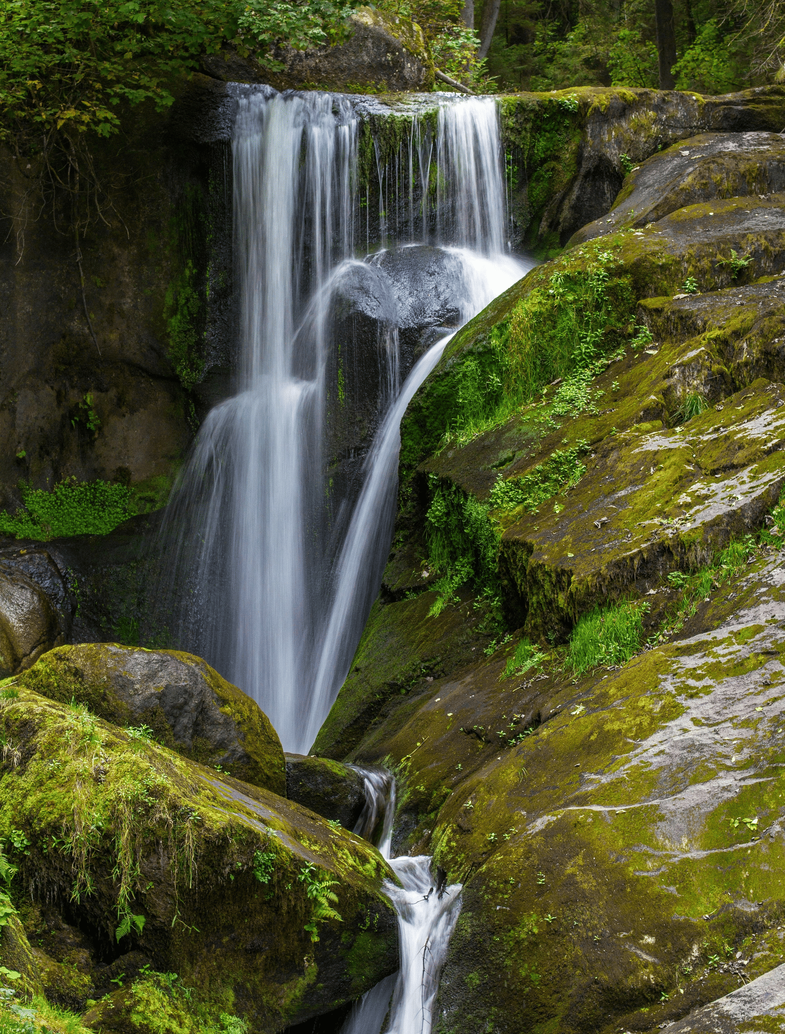 A long-exposure shot of a waterfall cascading down a moss-covered rock face in a lush forest.