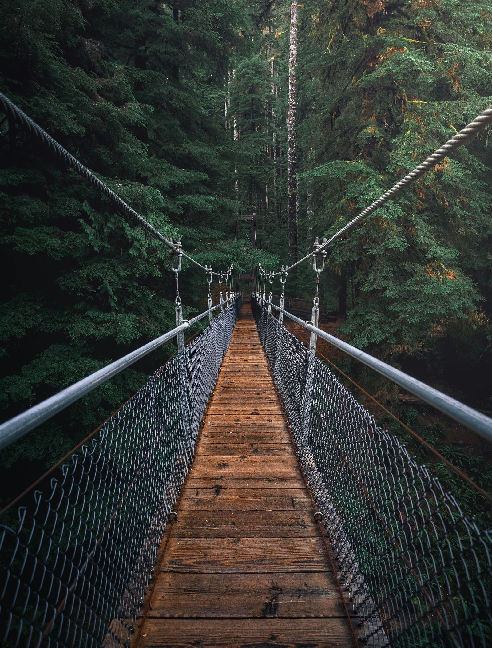 A suspension bridge with greenery around