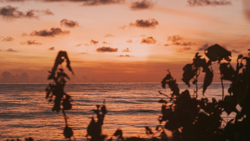 Photospot in Andaman