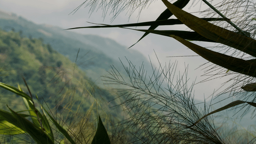 a view of mountains covered in fog during the Mawryngkhang Trek