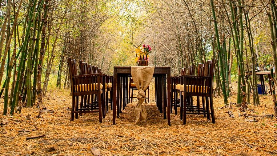 dining in a forest at The Serai Bandipur