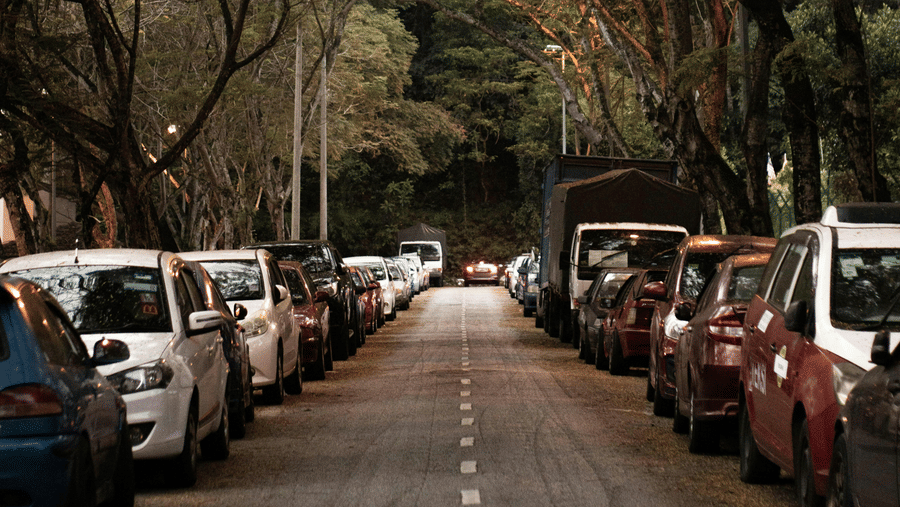 A road with parked cars on both sides and tall trees forming a canopy overhead.