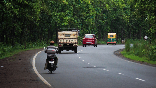 Vehicles driving through a tree-lined highway on the scenic road.