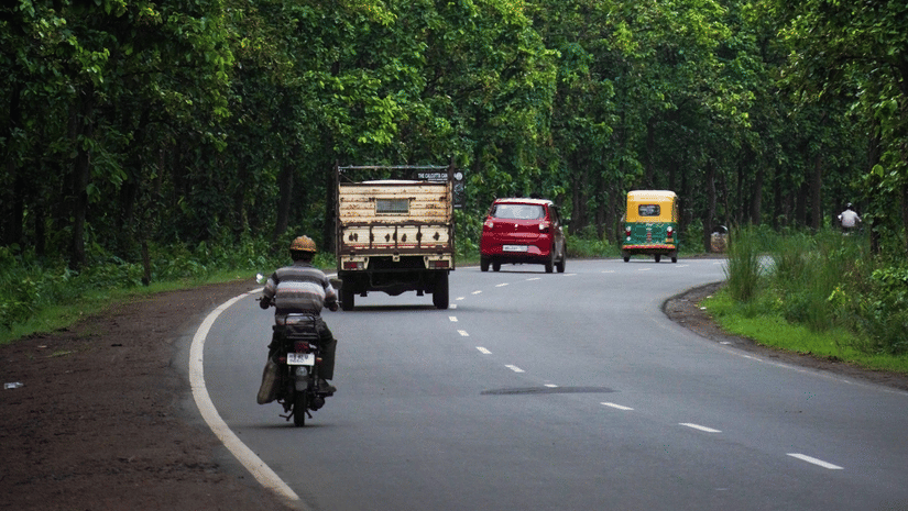 Vehicles driving through a tree-lined highway on the scenic road.