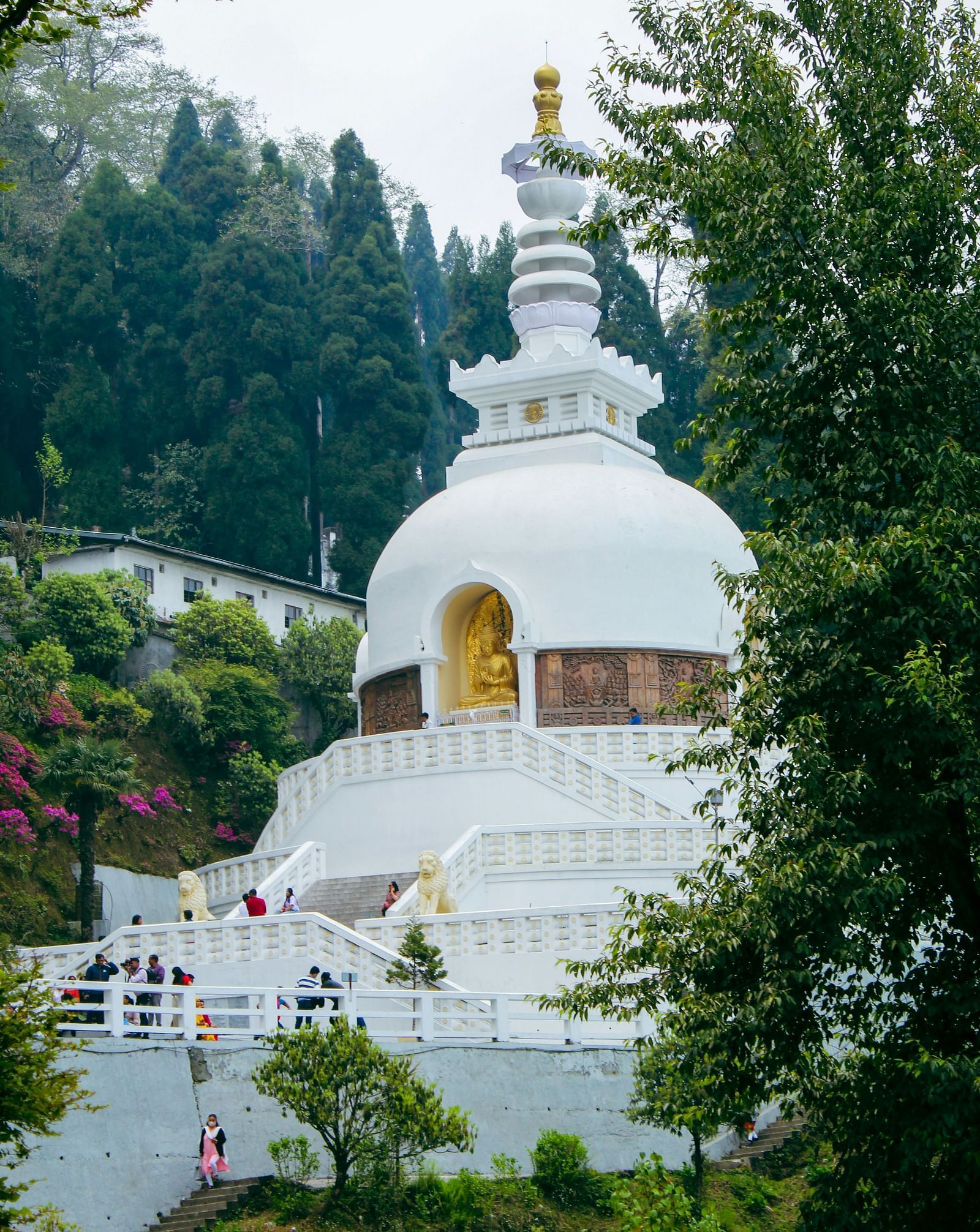 Japanese Temple surrounded entirely by tall trees in Darjeeling on a foggy day.