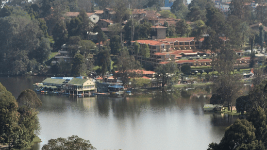 Elevated view of a lake surrounded by tall trees, with buildings along the shoreline and hills rising behind in Kodaikanal, Tamil Nadu.