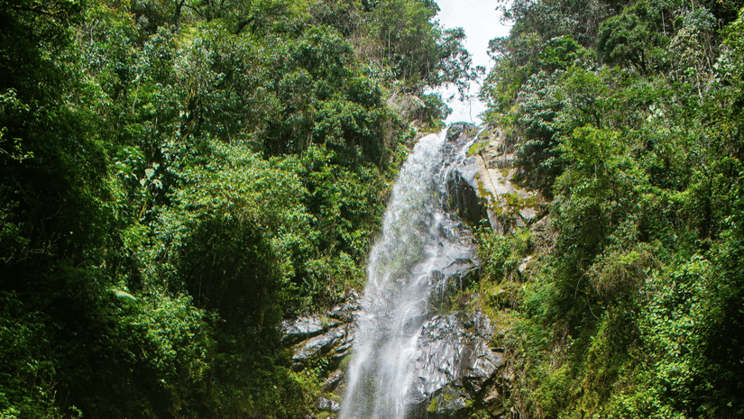 An image of a waterfall cascading through the rocks amidst the lush greenery of the forest with people enjoying the clean stream of water